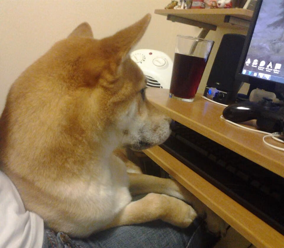 不止于赛场:F1在科技与娱乐结合的新路径,f1赛车科技