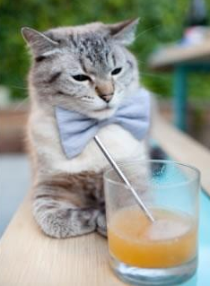 世界上最奇怪的足球比赛和规则揭秘，世界上最奇葩的足球进球