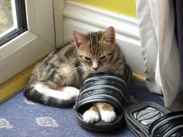 今年NBA季后赛场场激战,哪些比赛会成为“经典”?,今年nba季后赛战况