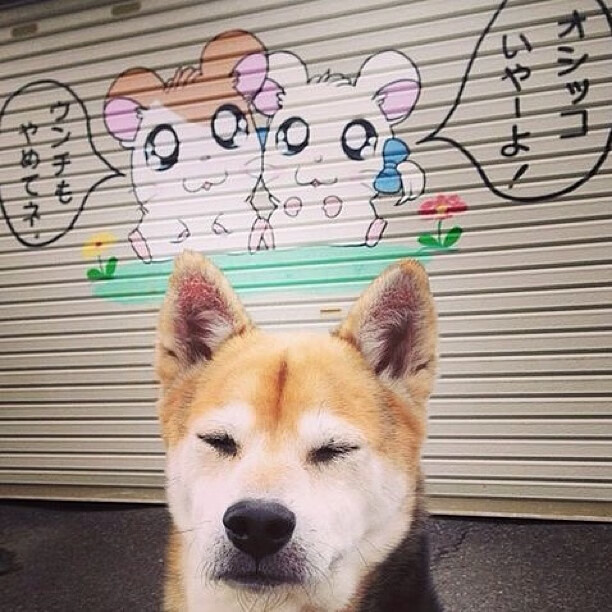 爱游戏中国官方网站平台-史上最“燃”绝杀瞬间：每个瞬间都让人心跳加速，最经典的绝杀