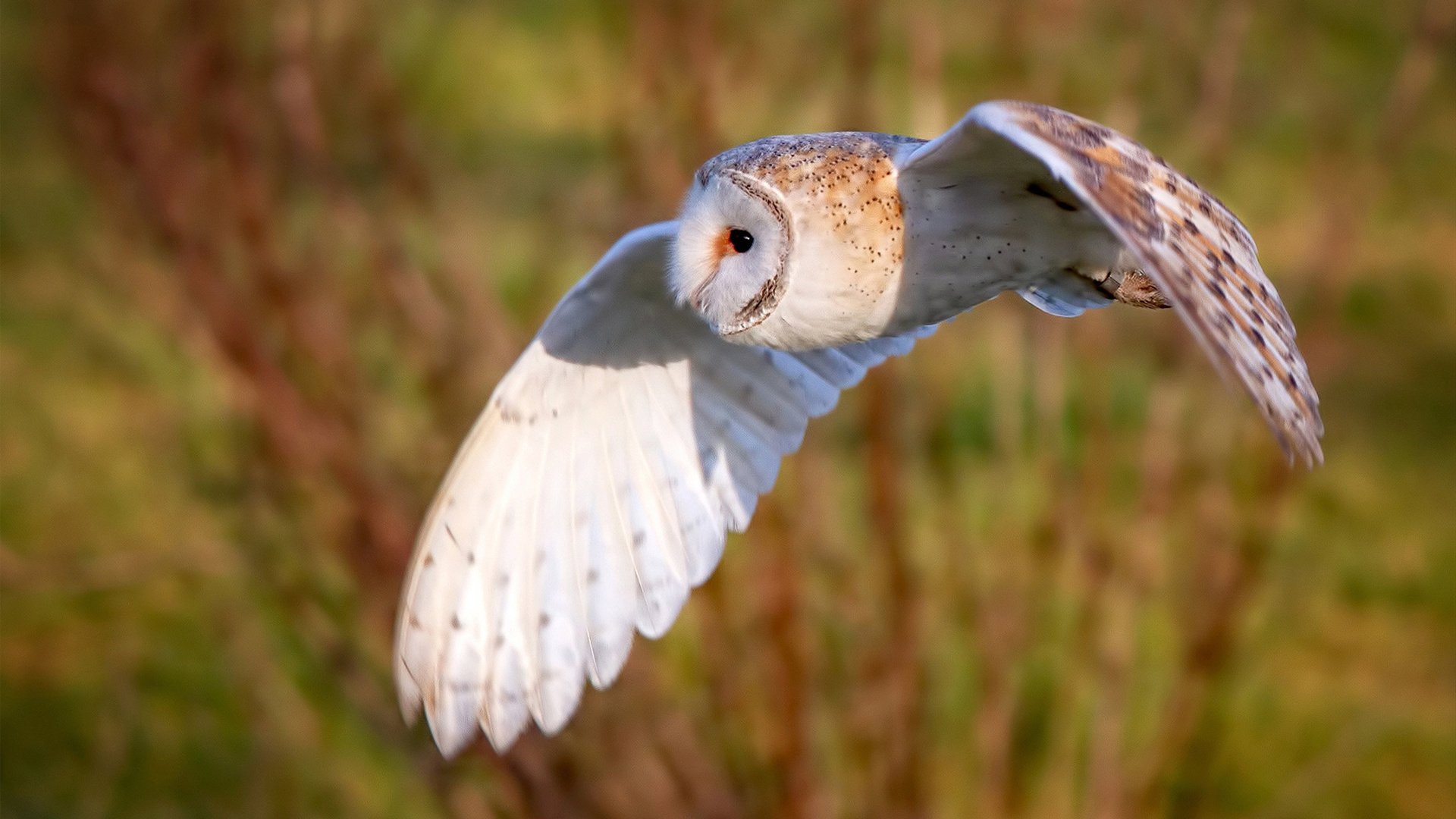 爱游戏体育APP下载-历史性赛道重游：经典场景再现，历史性里程碑是指什么