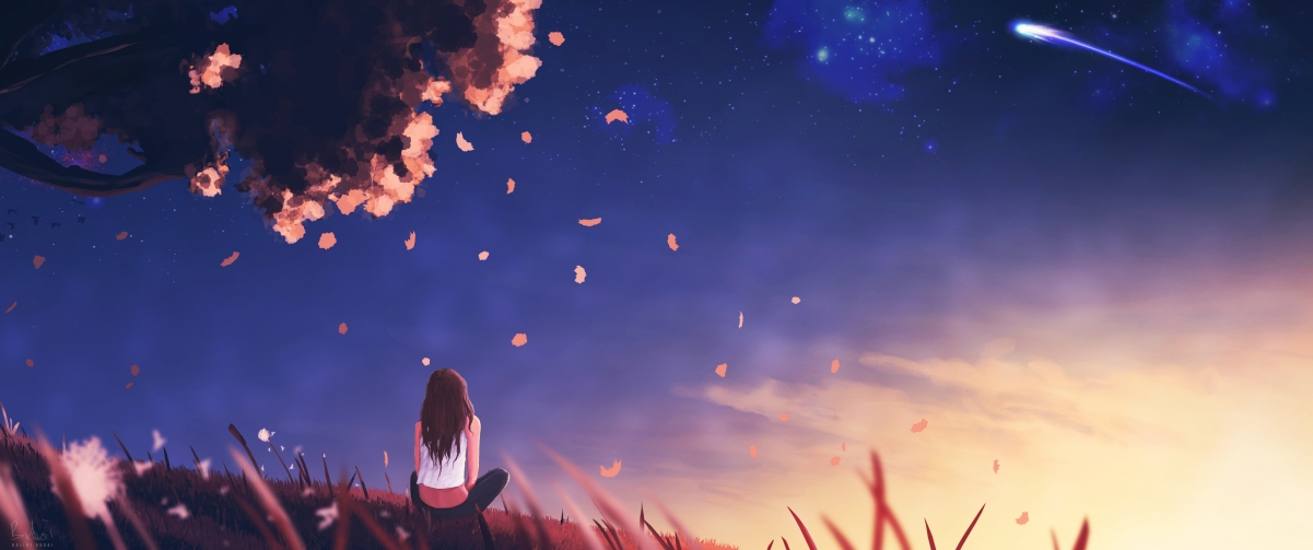 国际体操协会调整技术评分标准,增加难度系数,国际体操协会解释