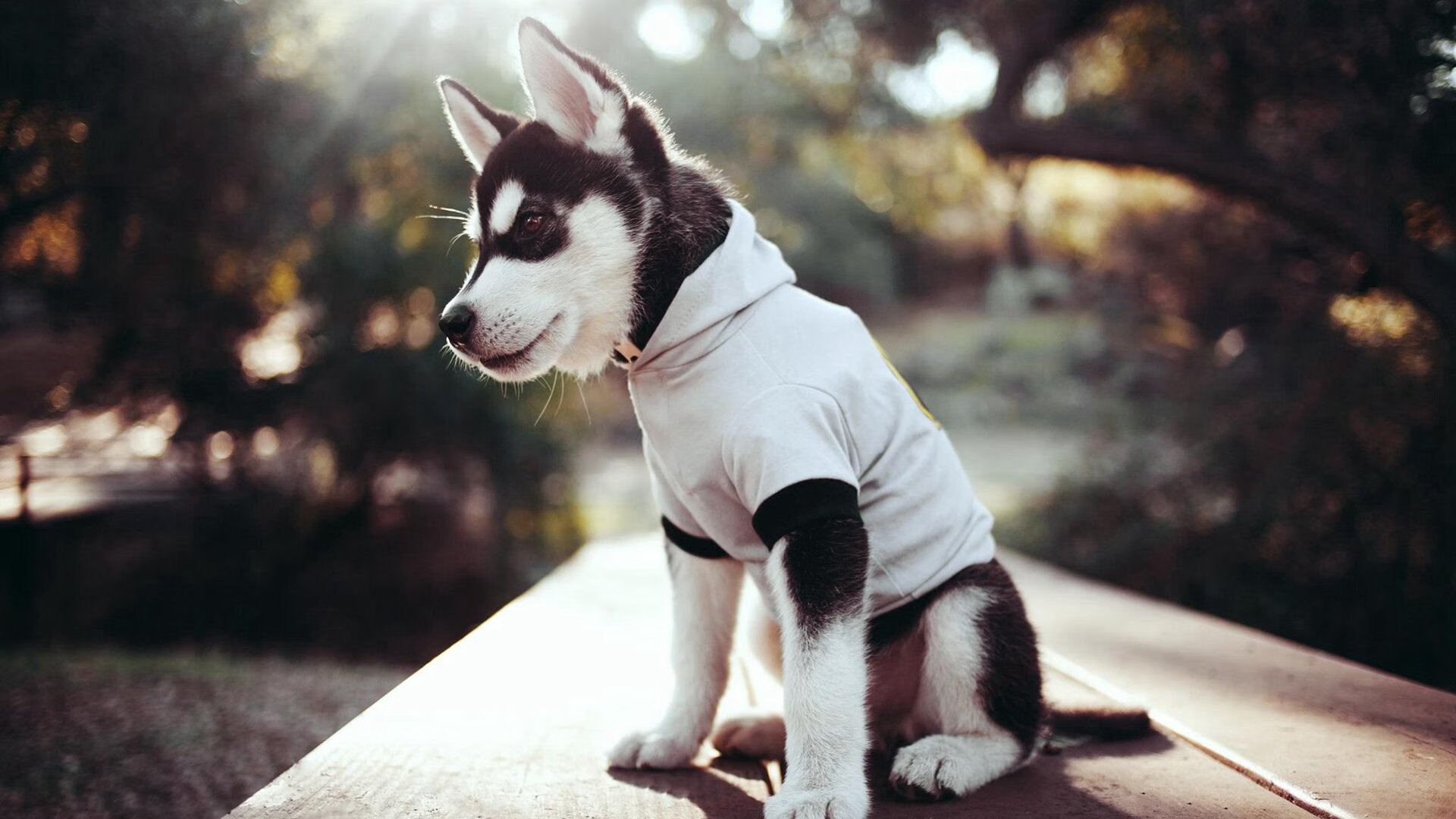 尤文图斯在意甲联赛中排名第四,成功晋级欧冠。,意甲尤文图斯队员名单