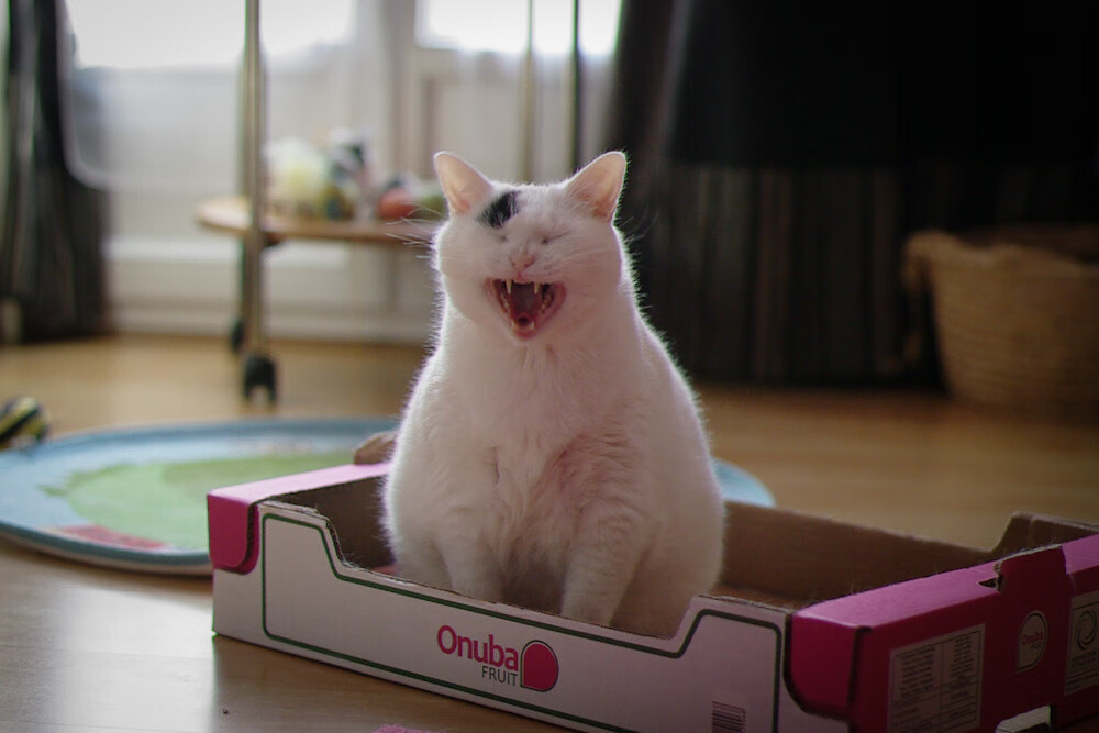 全场高能:本周最火爆的比赛集锦,热门赛事