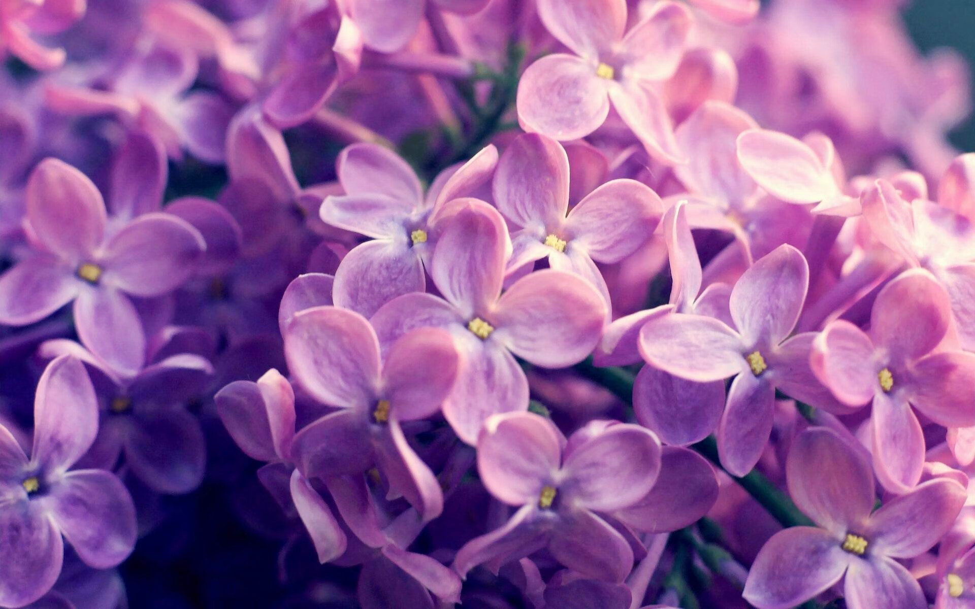 AYX GAMING-史上最激烈“冠军争夺战”回顾，冠军争夺战 综运动