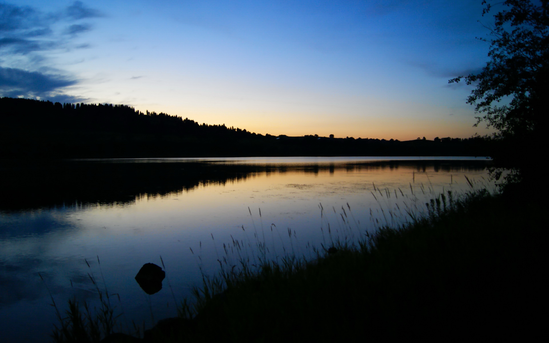 哥伦比亚女足在巴黎奥运会比赛中表现出色，赢得奖牌，哥伦比亚 男足