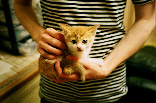 AYX体育-宏观分析：联盟今季战绩变化的深层原因，联盟战绩时间是开始时间还是结束时间