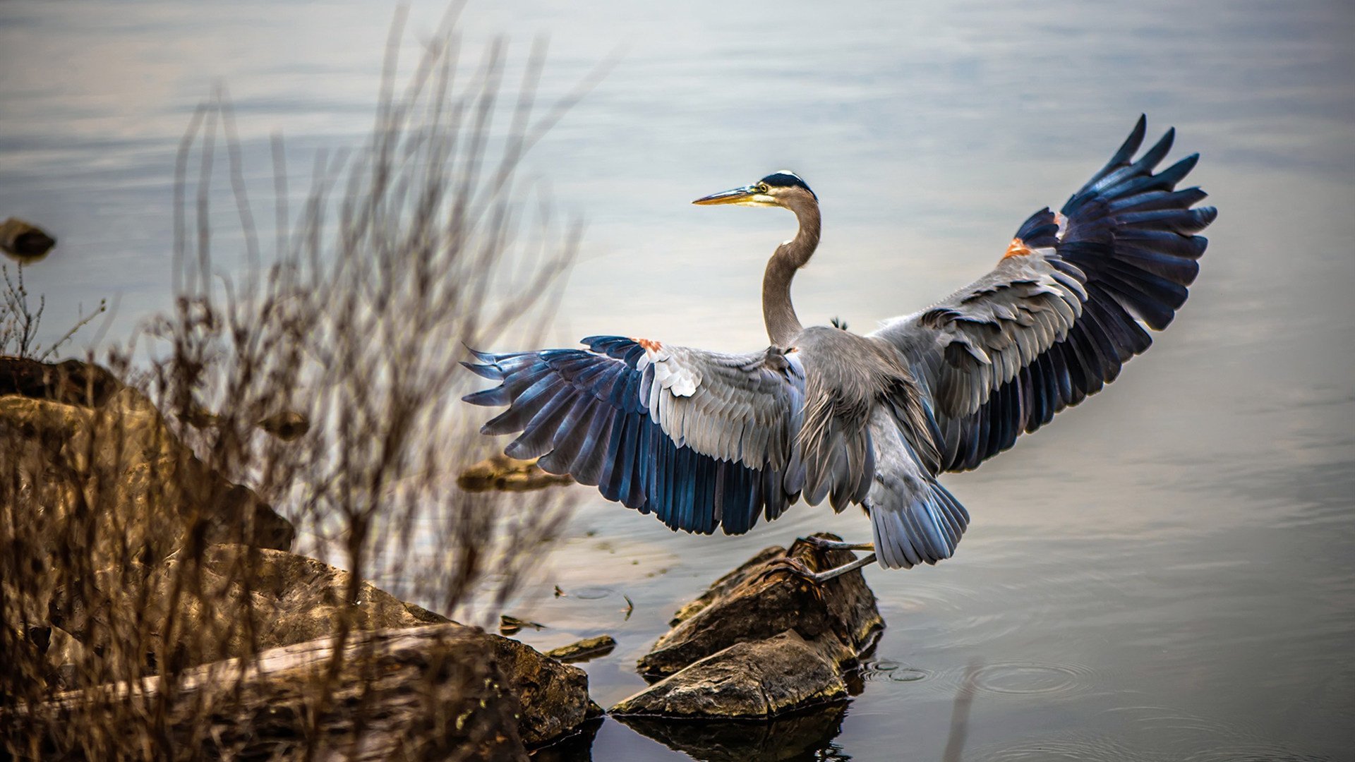 英超36轮总结，谁将夺冠热门浮出水面？，英超38轮顺序