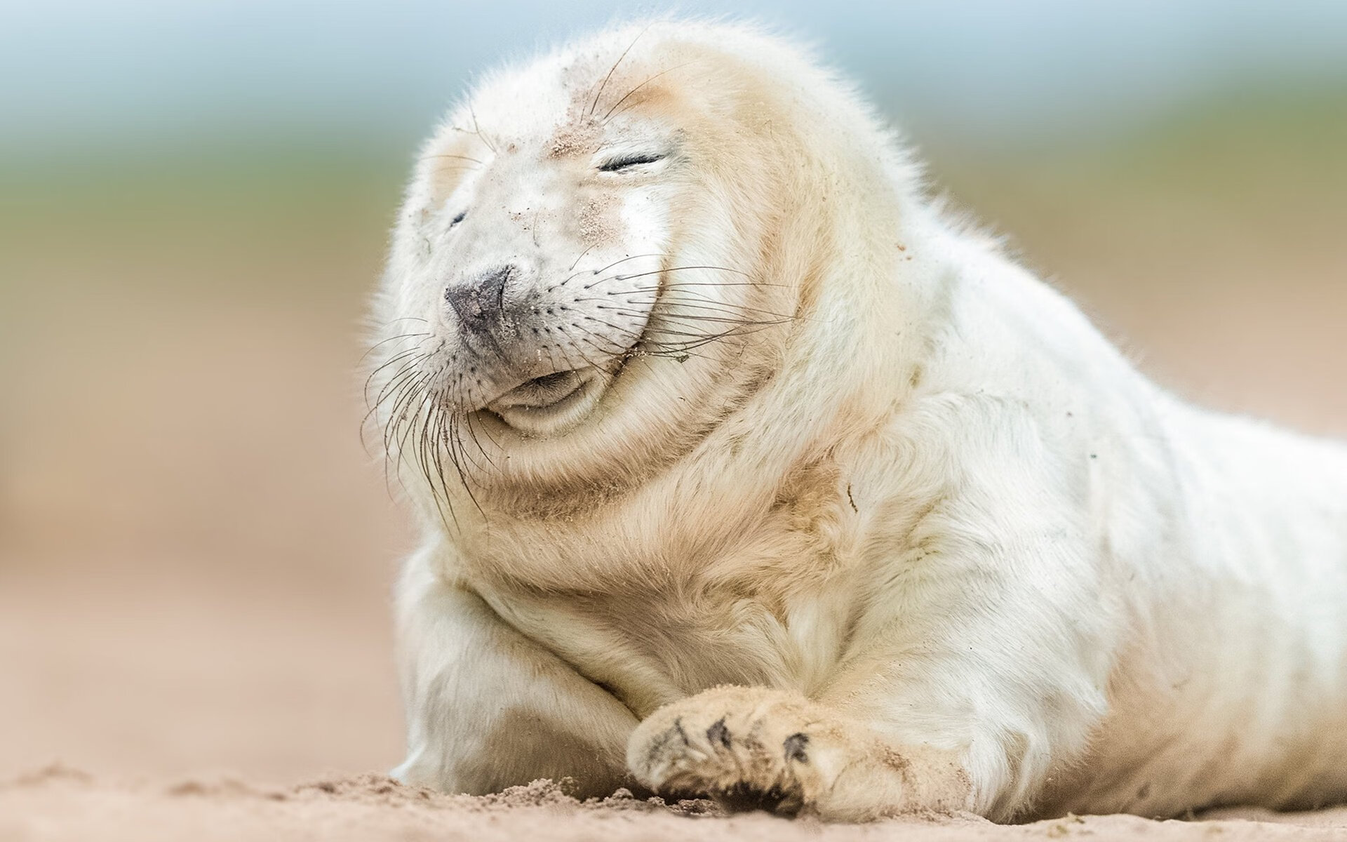 爱游戏娱乐-英格兰举办篮球文化交流活动，英格兰男子篮球队