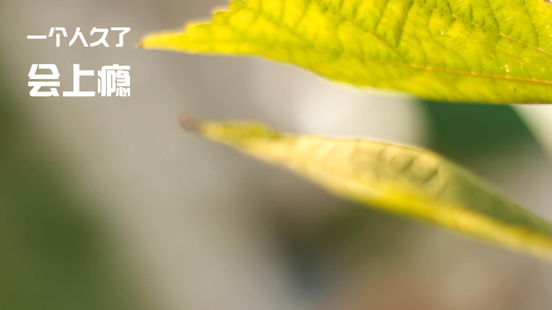 草根足球运动深度融入社会生活,成长为全民运动热点,开展足球运动的意义