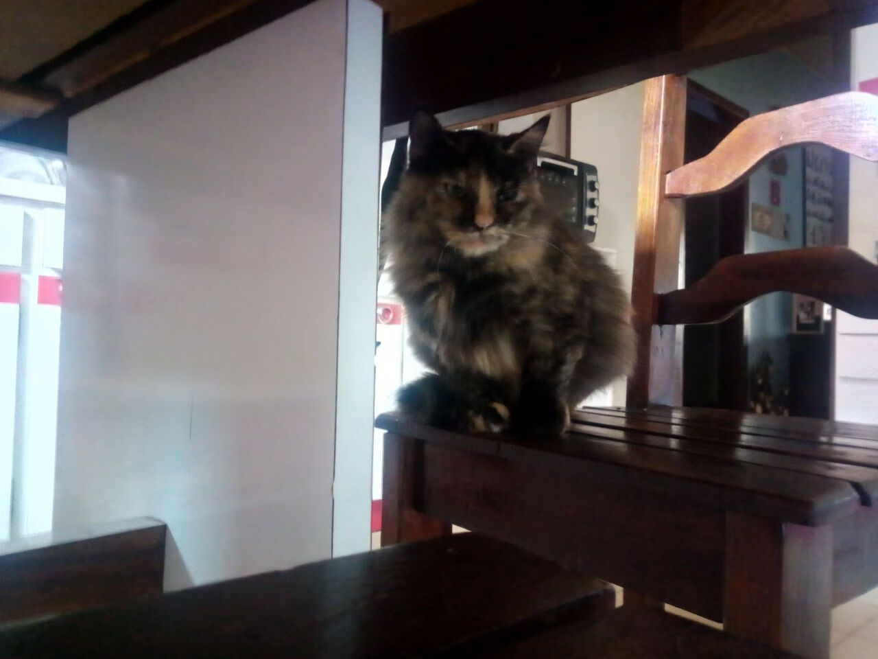 切尔西球星在国际米兰有望与曼联重聚,切尔西球星在国际米兰有望与曼联重聚吗