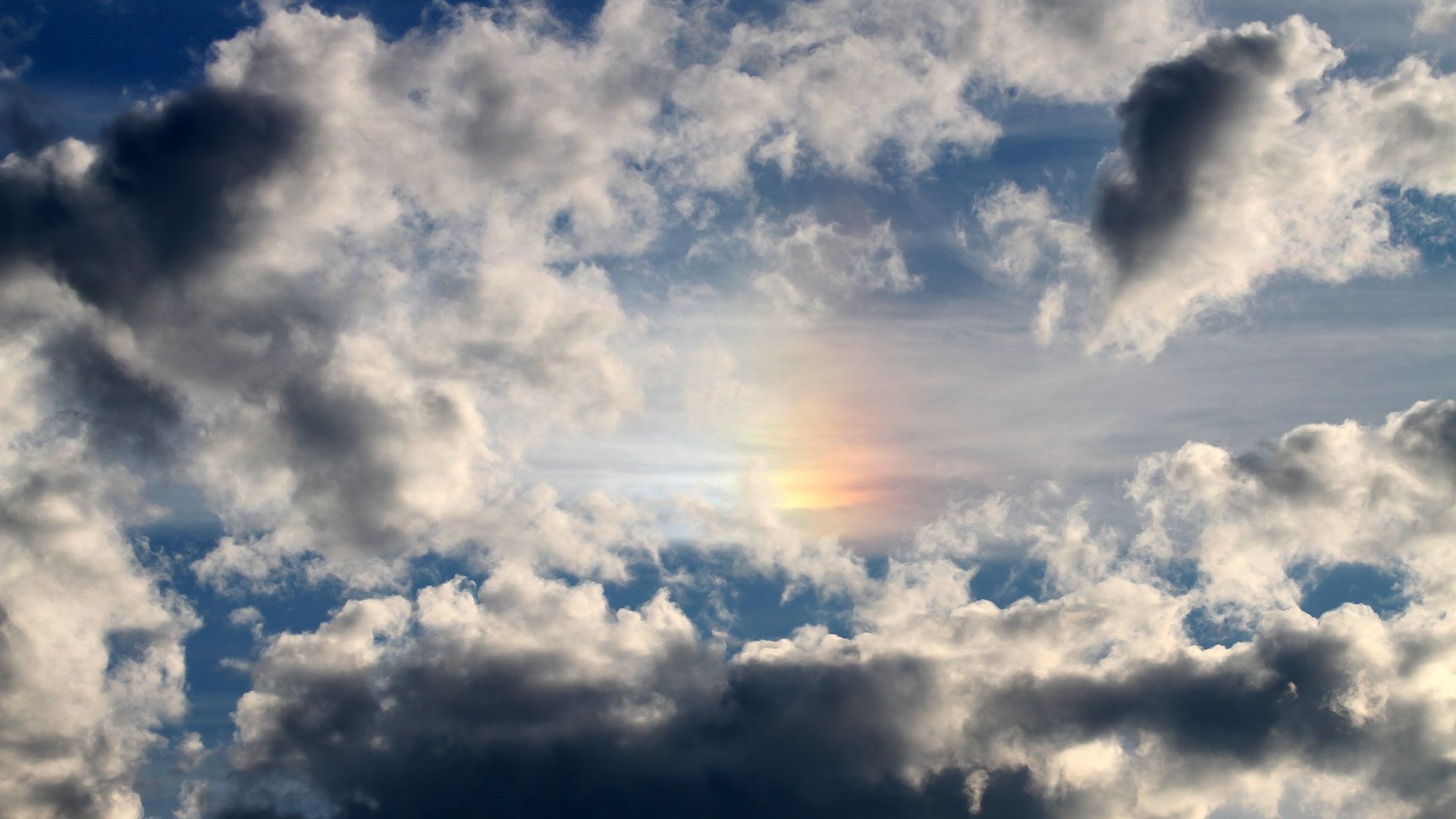 多特蒙德主场1-1战平沃尔夫斯堡，错失三分，多特蒙德对沃尔夫斯堡比赛结果