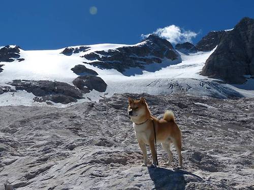 AYX SPORTS-欧洲精英杯：热门球队争相进军决赛，欧洲冠军锦标赛