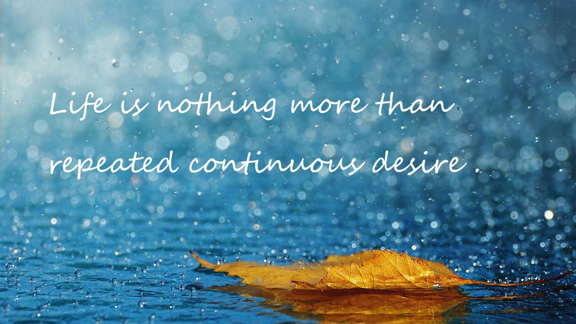 -湖人遭遇失利詹姆斯空砍三十二分，詹姆斯湖人暴扣