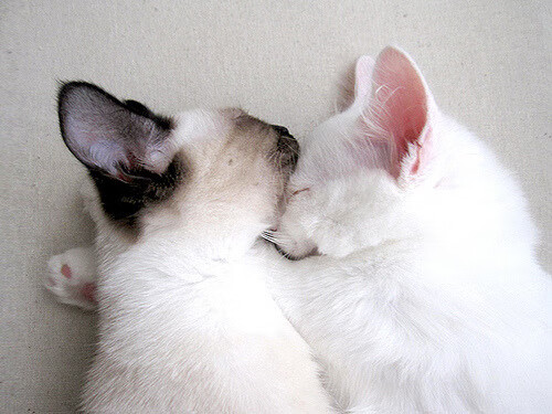 爱游戏体育官方网站-热议：皇马艰难胜出，成功晋级欧冠半决赛！，欧冠半决赛皇马对曼城