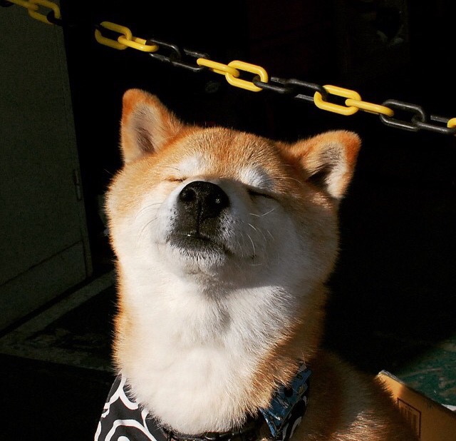 独行侠队年轻球员快速成长，独行侠队年轻球员快速成长