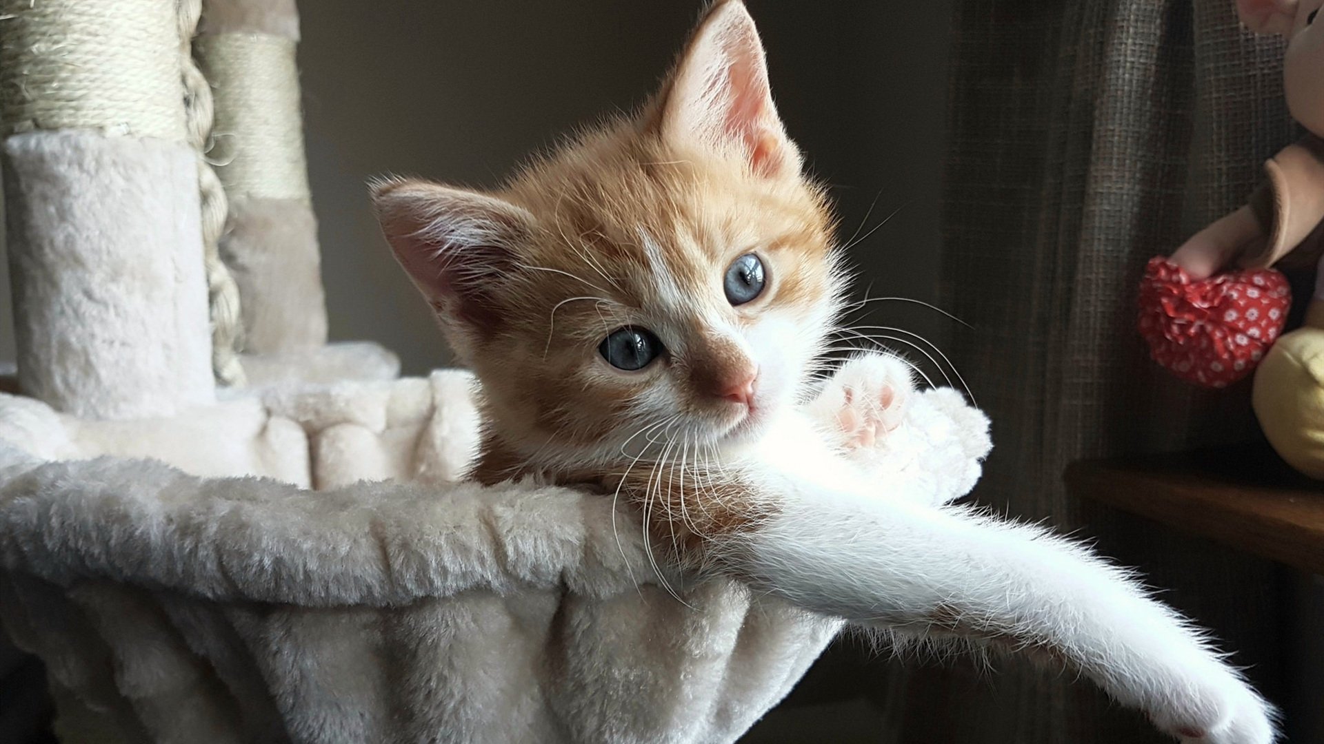 勒沃库森客场失利,陷入连败泥沼,勒沃库森在哪个城市