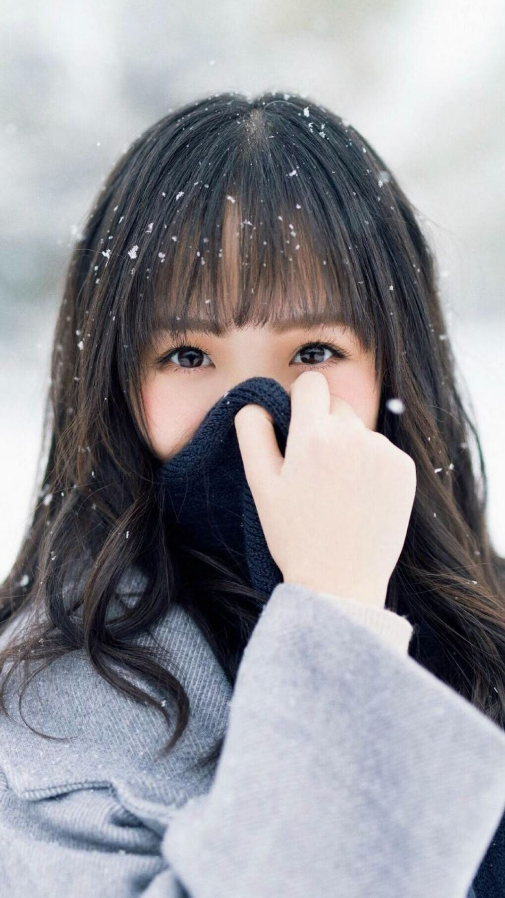 AYX GAMING-震撼一战！胜利之路又将何去何从，胜利之路视频