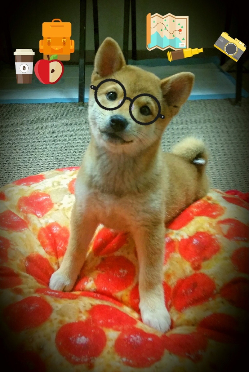 NBA球员心理调节技巧应用,nba心态最好的球员