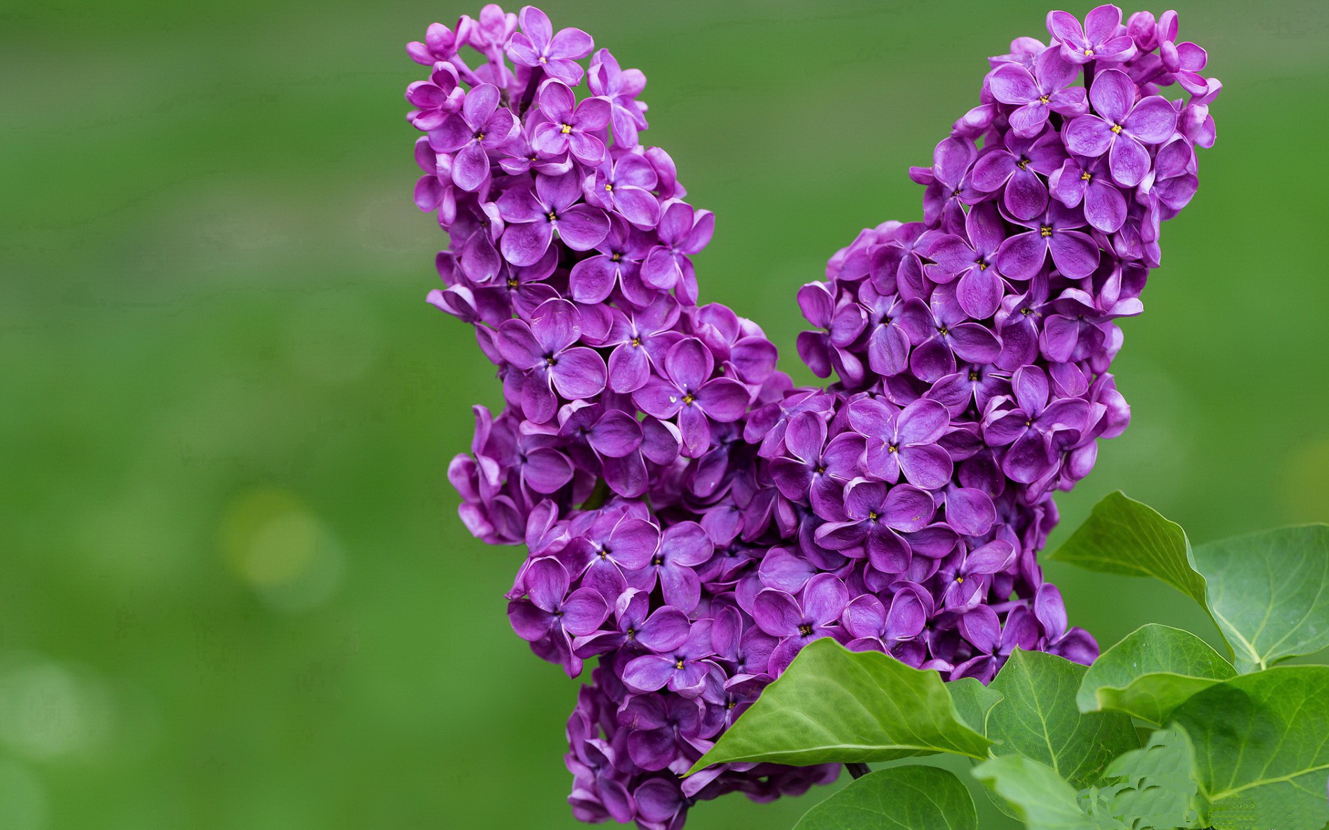 爱游戏综合娱乐-中国三人女篮战术配合日趋成熟，中国三人组女篮