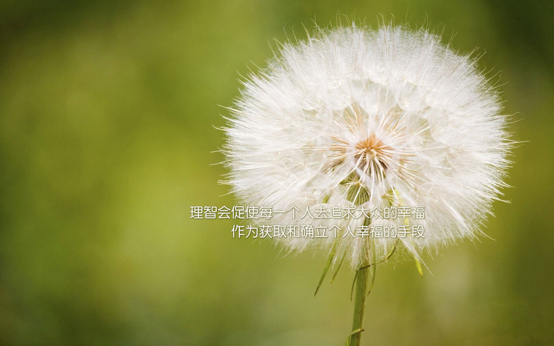 爱游戏app下载-中国香港队的未来：如何借助团体赛制提升整体竞争力，香港队队员