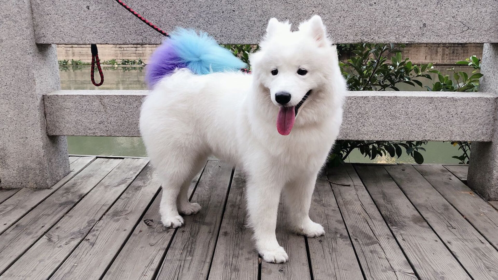 曼城客场挑战切尔西，强强对话谁将获胜？，曼城客场挑战切尔西,强强对话谁将获胜