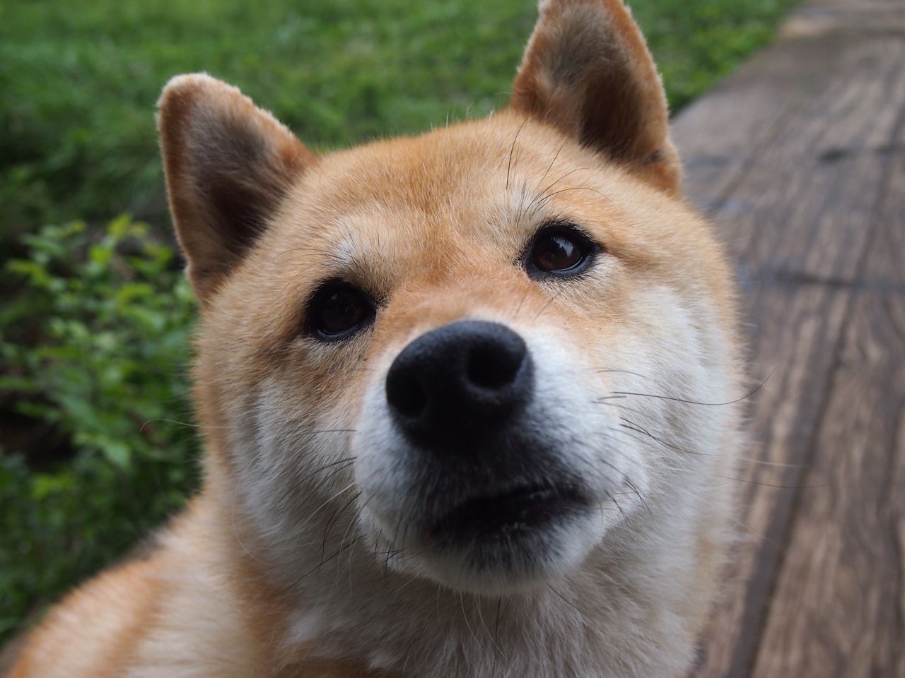 曼城客场挑战切尔西,强强对话谁将获胜?,曼城客场挑战切尔西,强强对话谁将获胜