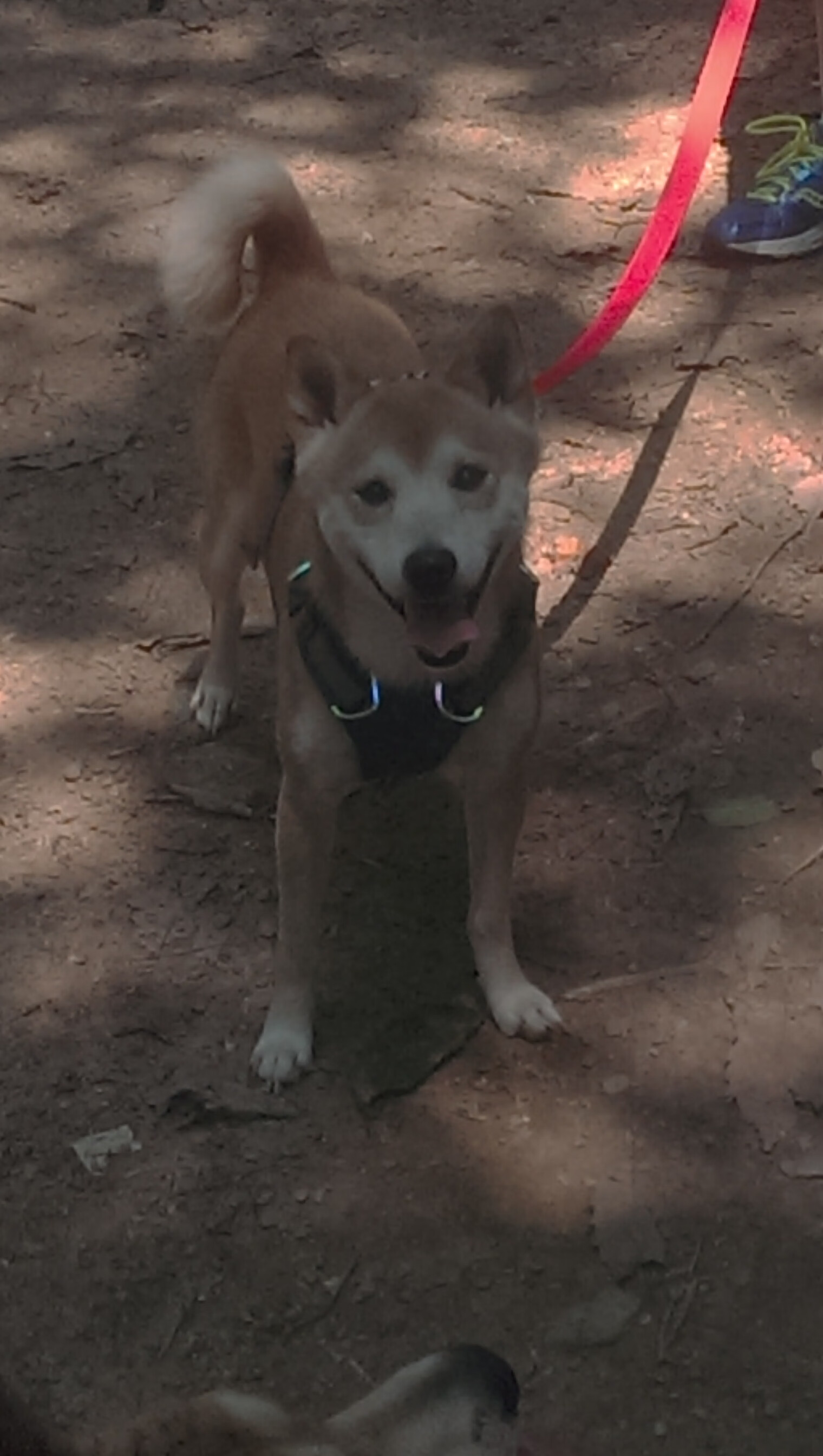 爱游戏官网-梅斯主场难敌强敌，连败局势严重，梅斯cba