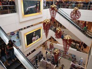 AYX体育官网-迈向未来：Chinese Taipei团队在国际赛场的崭新发展，chinese of taipei