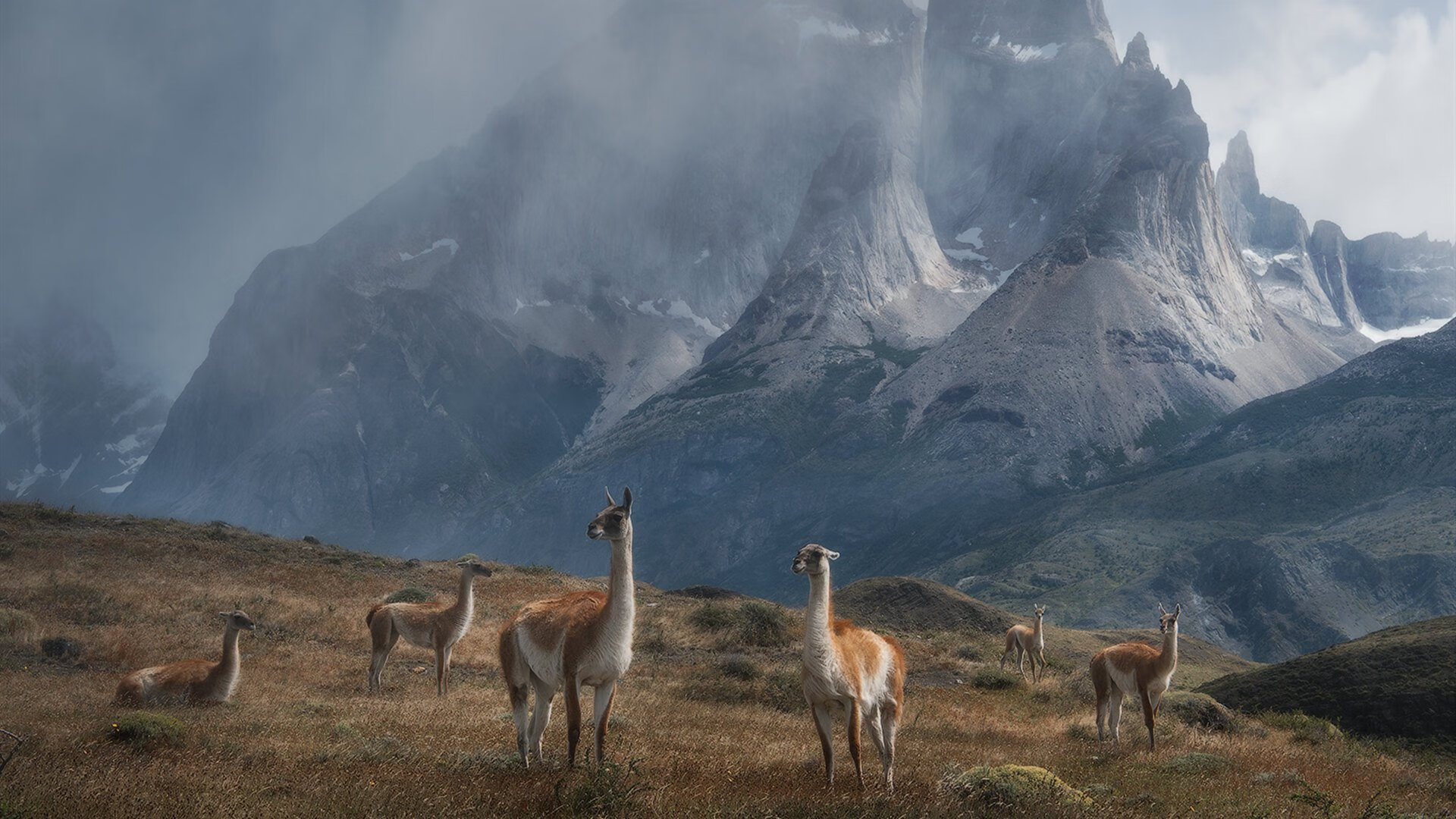 爱游戏娱乐平台-中国足球国家队进攻战术演练取得积极成效，中国足球队训练视频