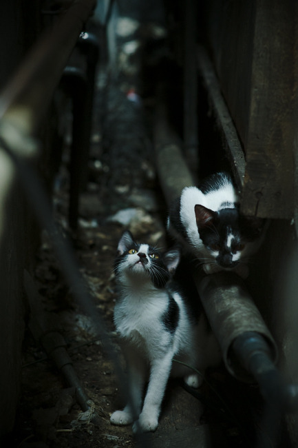 意甲高水平比拼:攻防两端都值得期待,意甲防守最强的球队