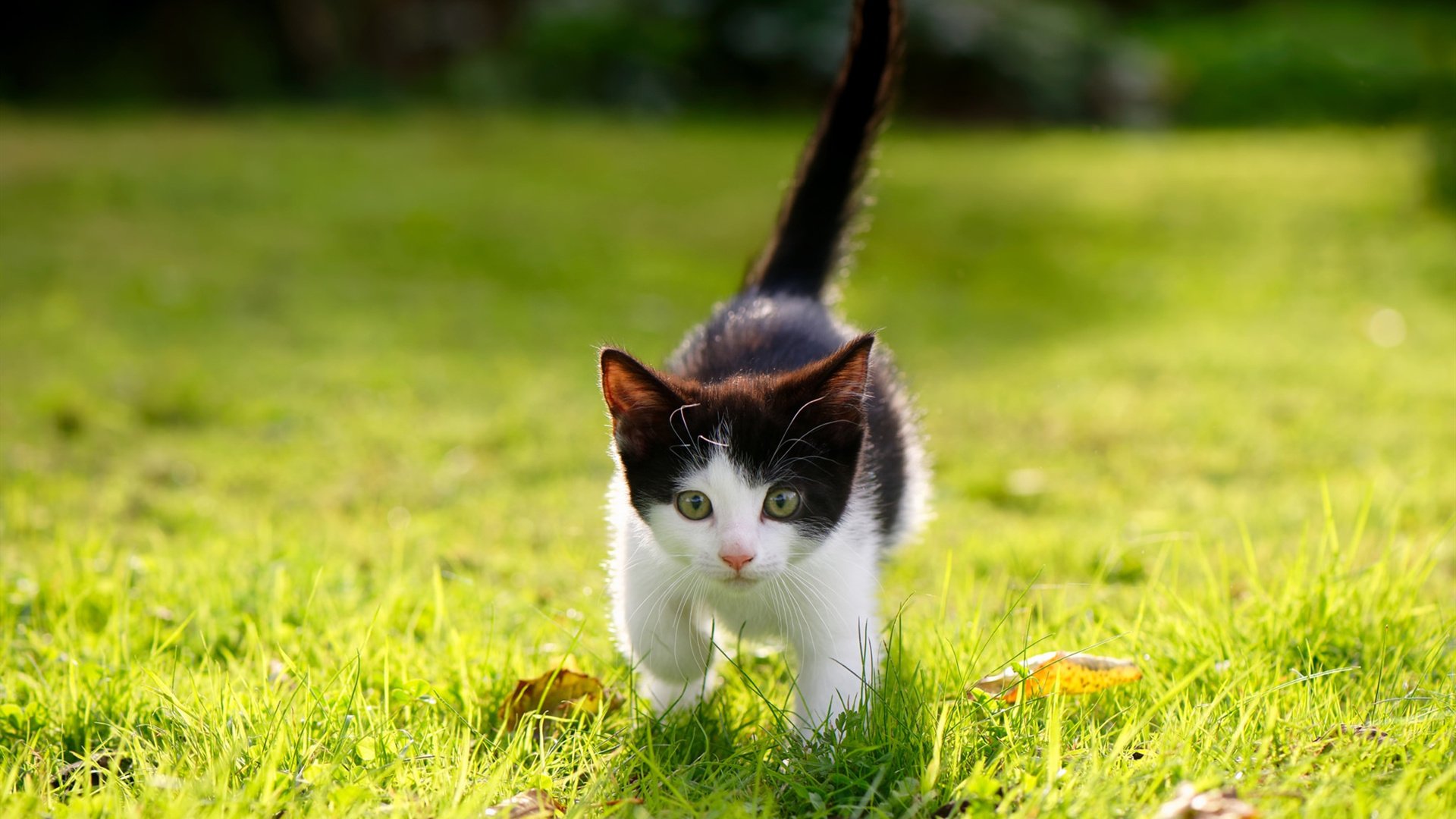 比赛中场传控节奏流畅多次成功突破边路形成有效传中,中场如何跑位传球