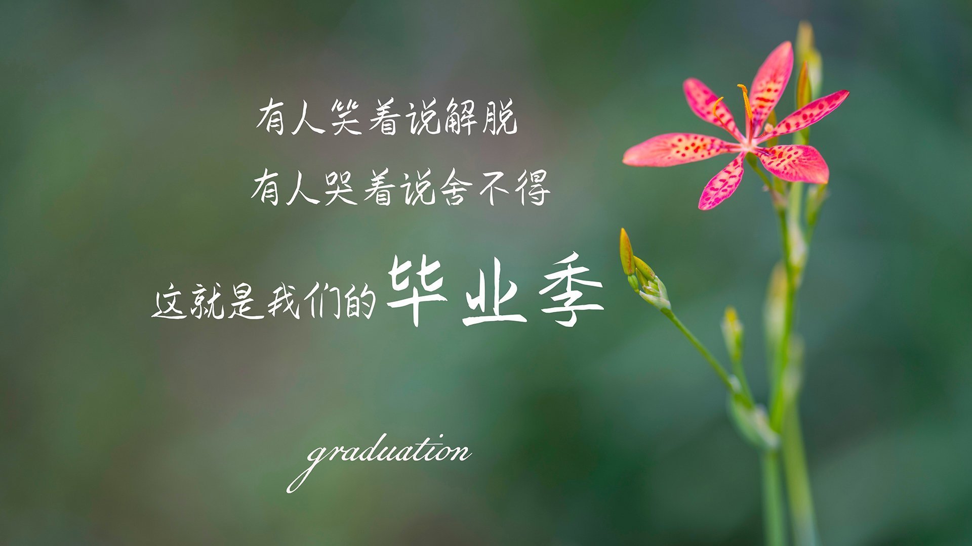 万元奖金激励，冠军之桨花落谁家？，冠军奖金达1344万