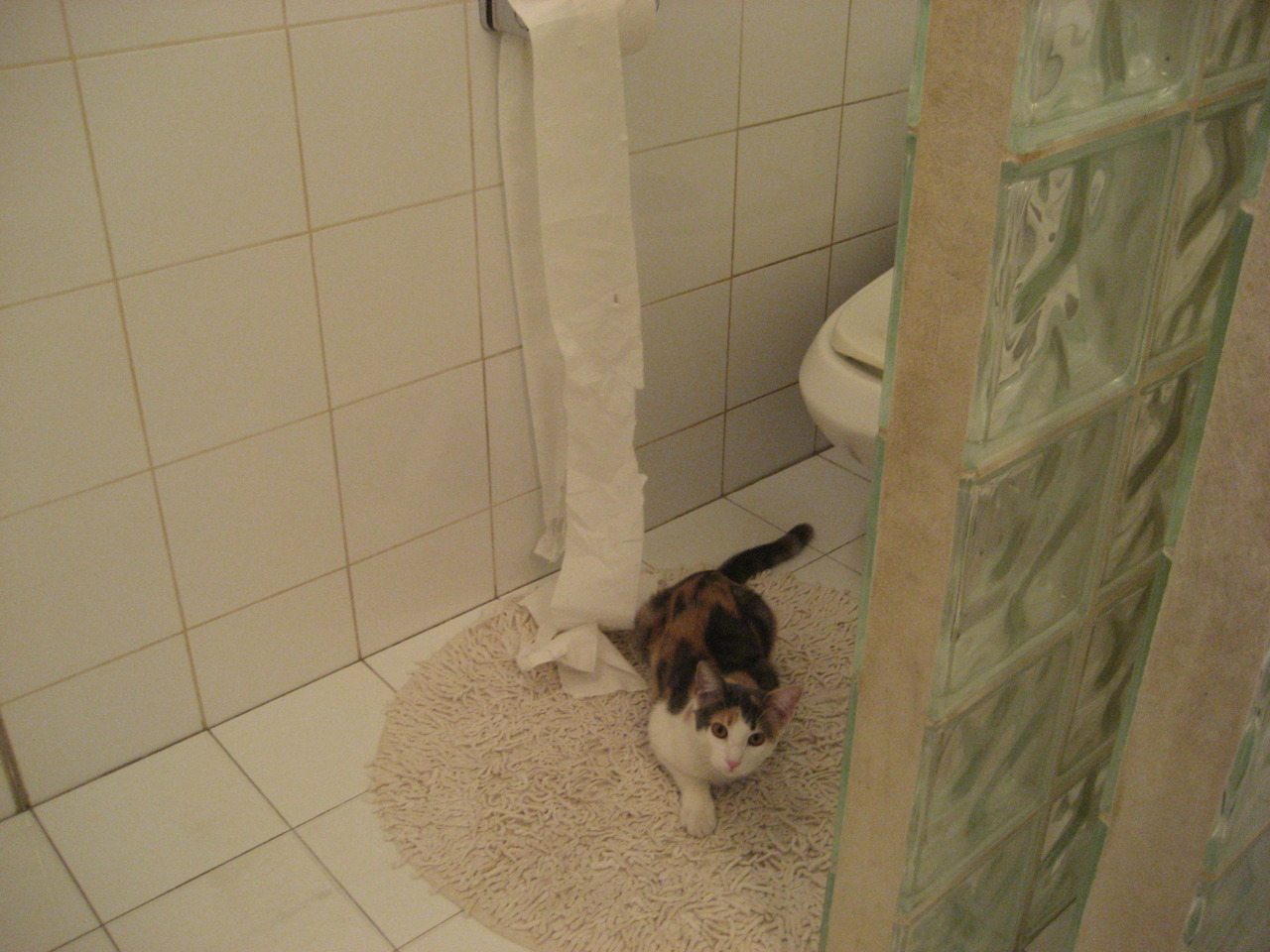 爱游戏下载-美洲杯的比赛战术分析报告，美洲杯总结