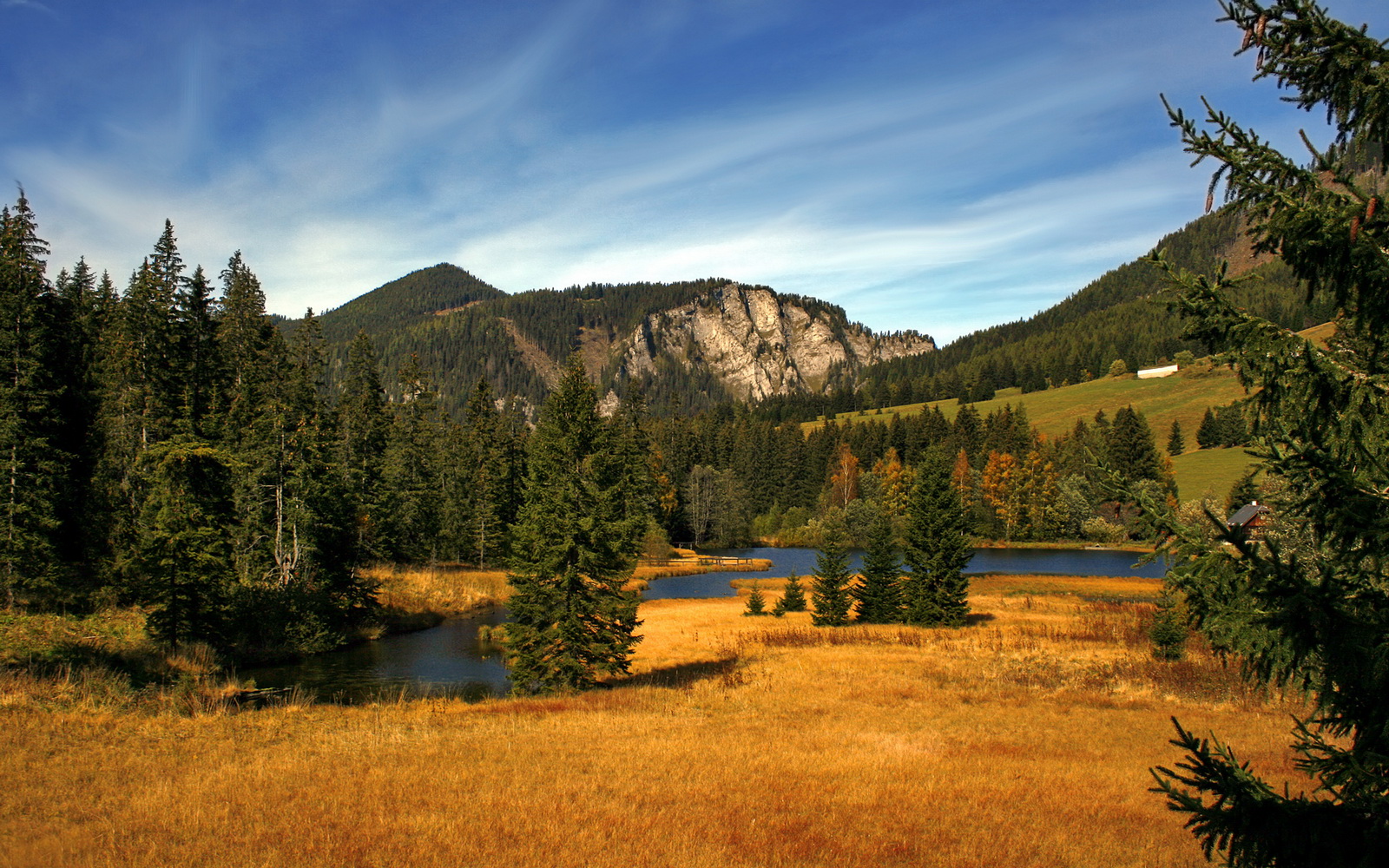 亚洲杯国足爆冷 数据分析揭示背后真相,亚洲杯国足出线