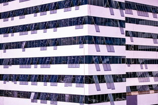 爱游戏娱乐平台-体育新闻中心推进体育智库体系建设，体育专题报道