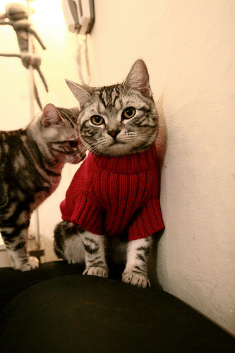 AYX体育-俱乐部管理体制改革缓慢，俱乐部的管理和发展